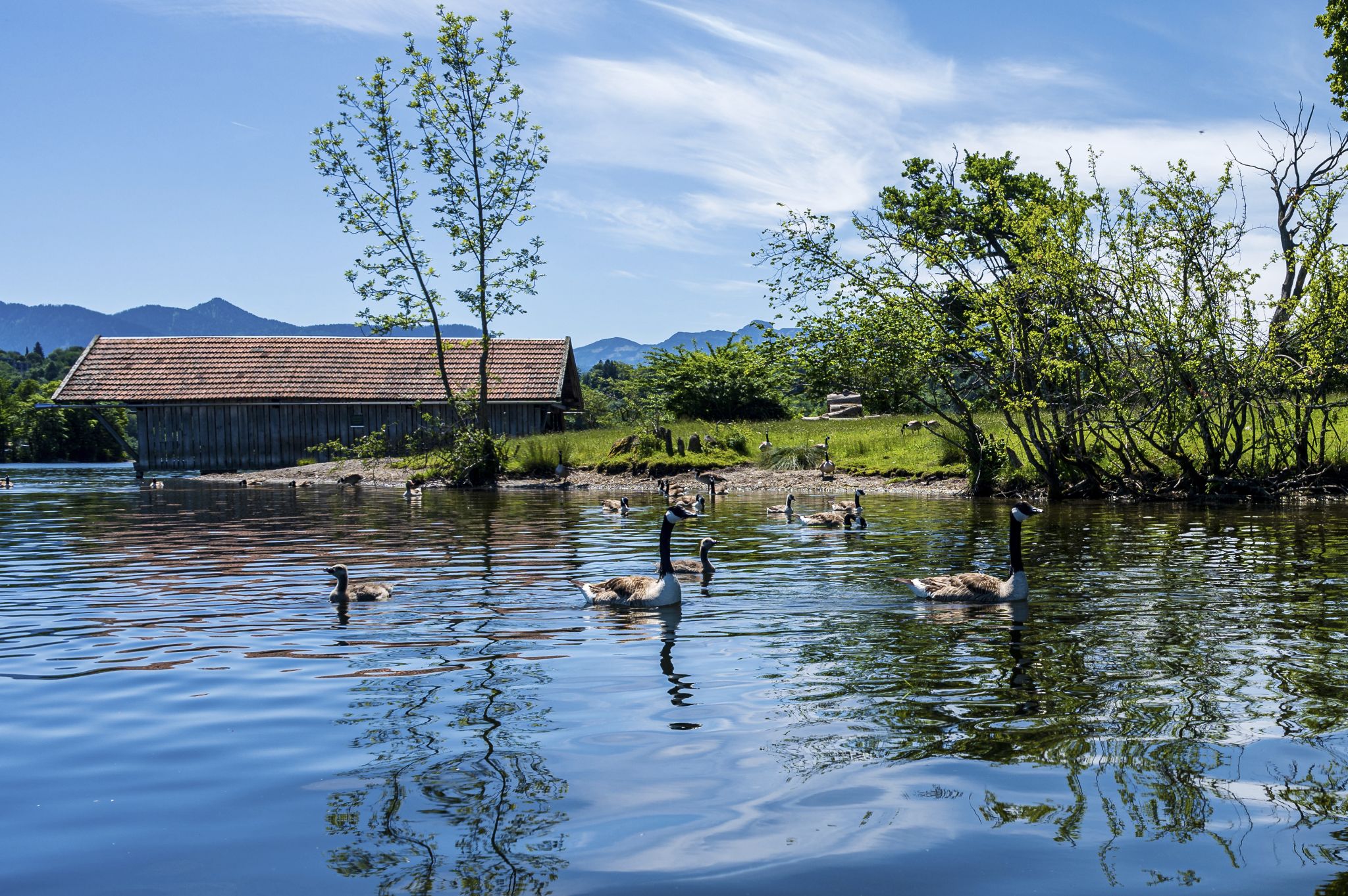 Kajaktour Staffelsee 12.06.22